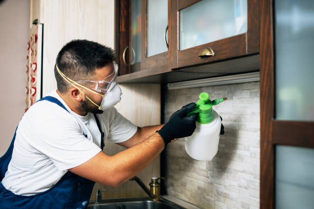 Best Commercial Pest Control Services  in Montalvin Manor, CA