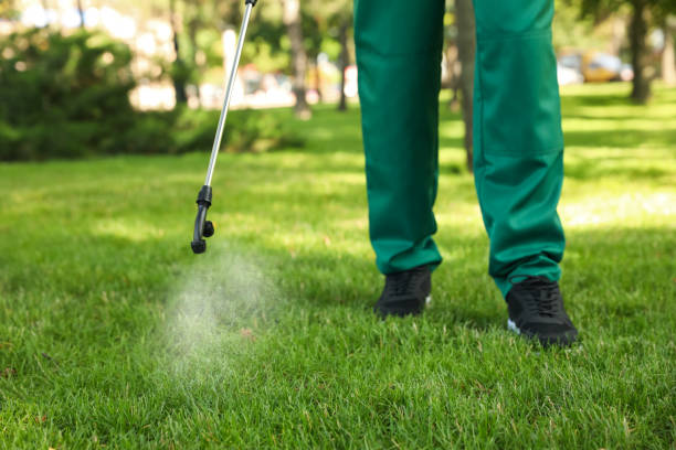 Pest Prevention Services in Montalvin Manor, CA