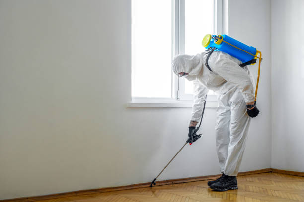 Pest Control Cost in Montalvin Manor, CA