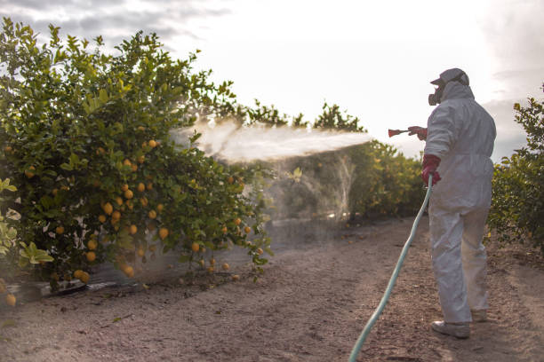 Best Cockroach Control Services  in Montalvin Manor, CA