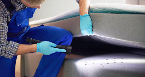 Best Pest Inspection Near Me  in Montalvin Manor, CA