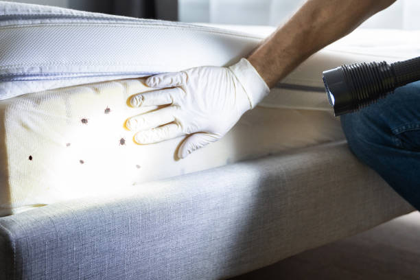 Best Pest Control for Restaurants  in Montalvin Manor, CA